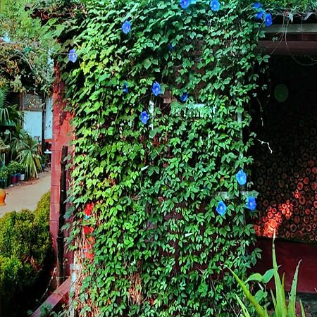 Panchobon Art Resort Shānti Niketan Exteriér fotografie