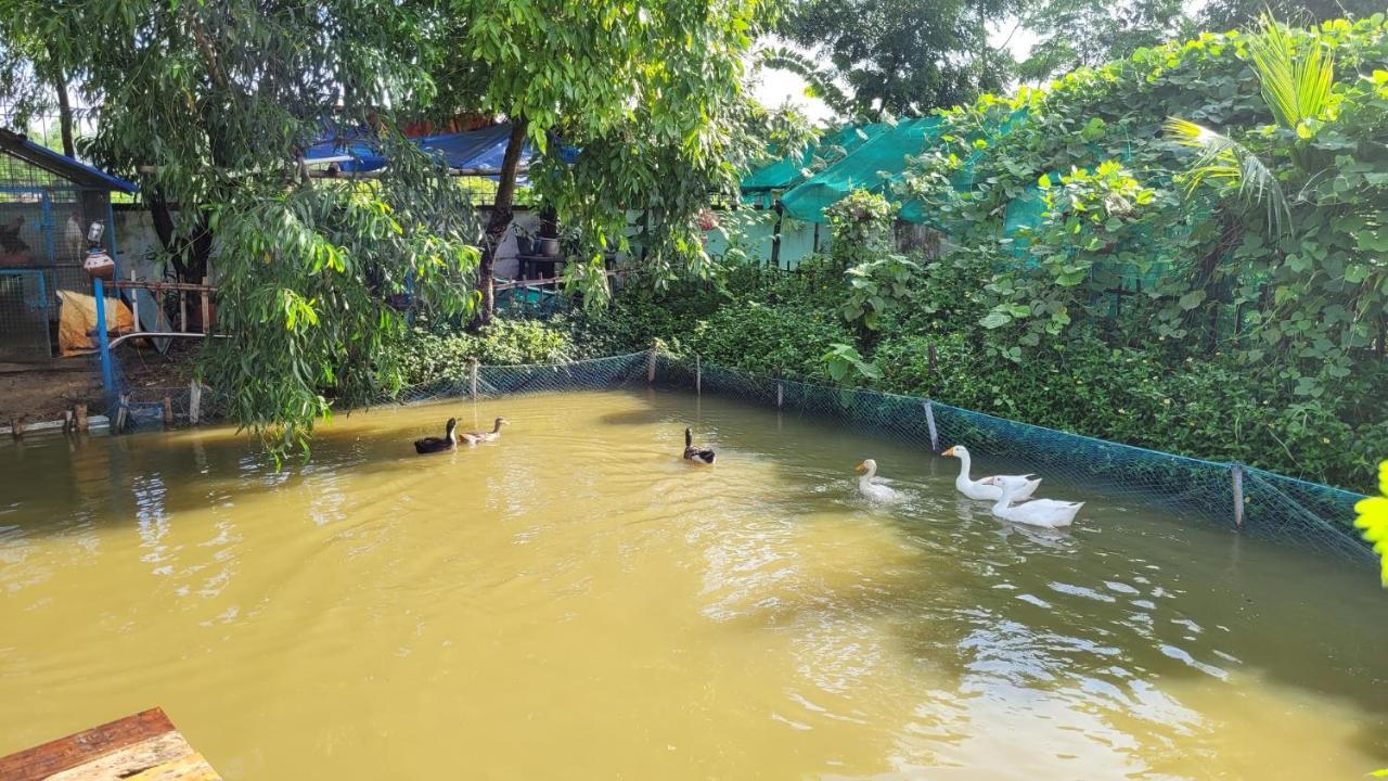 Panchobon Art Resort Shānti Niketan Exteriér fotografie